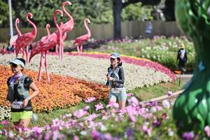 BIB: 
                            <button type="button" onclick="openModal(27793308)" class="btn btn-primary btn-sm float-right btn-popup" data-toggle="modal" data-target=".modal-high-quality">
                        <i class="fas fa-shopping-cart"></i> Add to Cart
                    </button>
                                            <button type="button" onclick="isThisMe(27793308, true)" class="btn btn-success btn-sm float-right btn-popup btn-isme hidden" data-toggle="tooltip" data-placement="bottom" title="นี่คือรูปของคุณใช่ไหม คลิกที่นี่เพื่อเอาเข้าอัลบั้ม">
                        <i class="fas fa-plus"></i> Add to album
                    </button>
                    <button type="button" onclick="isThisMe(27793308, false)" class="btn btn-warning btn-sm float-right btn-popup btn-isnotme hidden">
                        <i class="fas fa-ban"></i> Remove from album
                    </button>